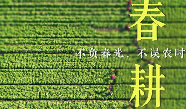 全国春播粮食已完成3.6%，早稻育秧完成41.8% 进度同比去年快了多少？