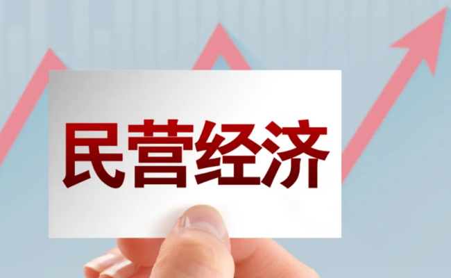 ​民生 ：一季度新设民营企业203.9万户同比增长10.7% 数据表明什么？