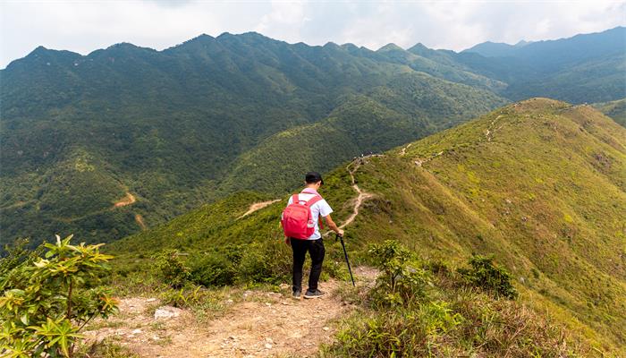 重阳节是什么节日呢