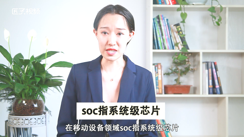 soc什么意思