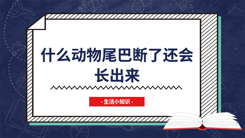 什么动物尾巴断了还会长出来