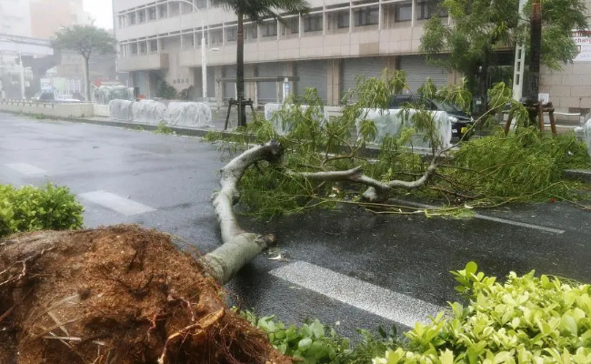 ​超强台风“卡努”致日本冲绳县近18万住户停电 应对台风要如何预防呢