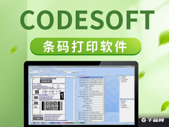 CODESOFT怎么转换斑马脚本