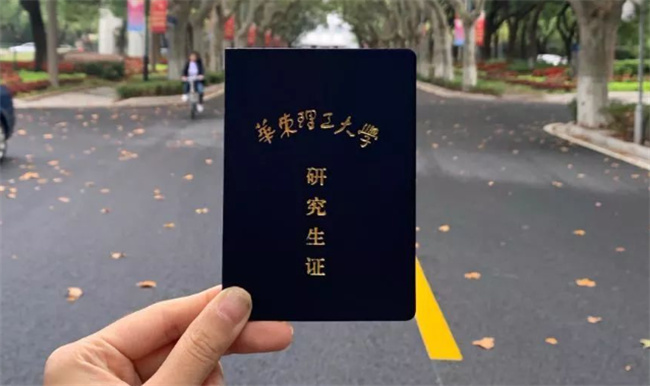 大学生兴起免费帮人遛狗潮 为什么会出现这种现象