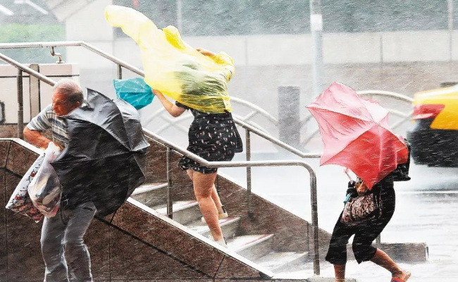 ​台风泰利预计今夜登陆我国 要如何预防呢