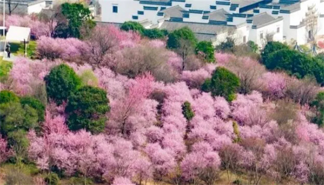 ​今年是否出现极端天气