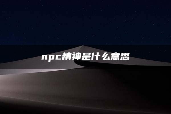 npc精神是什么意思