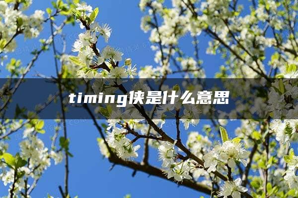 timing侠是什么意思