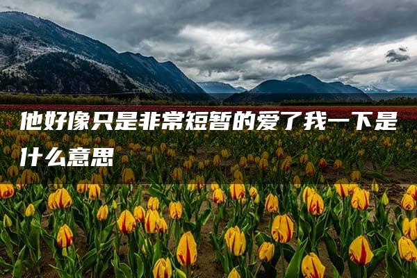 他好像只是非常短暂的爱了我一下是什么意思