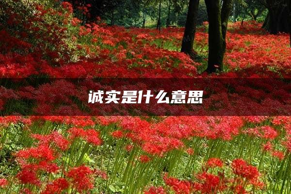 诚实是什么意思