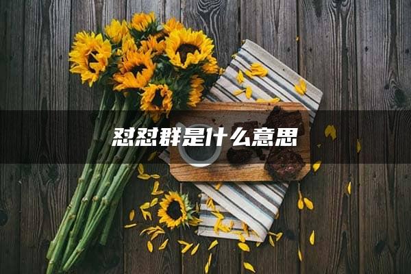 怼怼群是什么意思