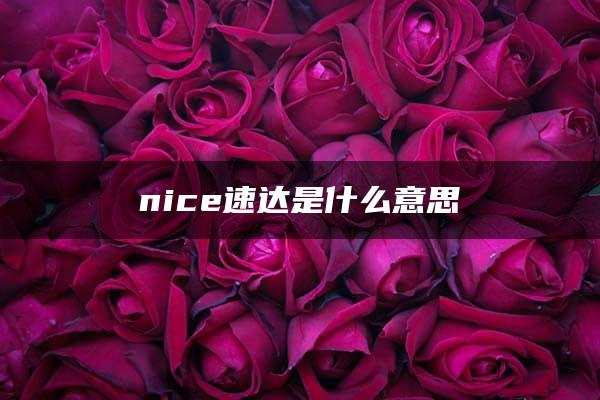 nice速达是什么意思