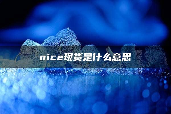 nice现货是什么意思