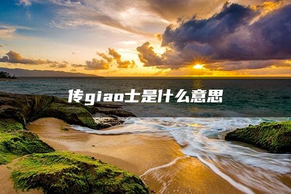 传giao士是什么意思