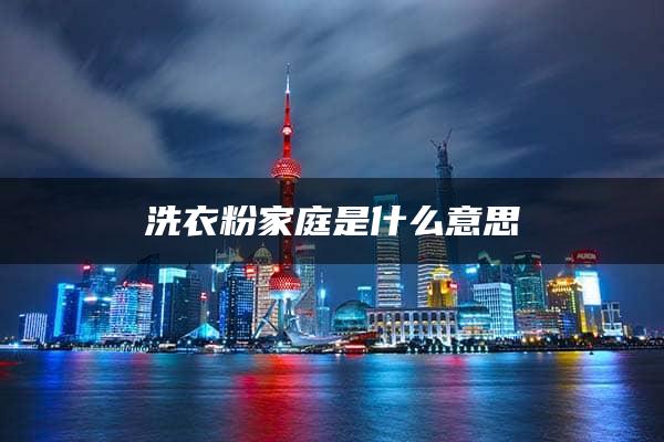 洗衣粉家庭是什么意思