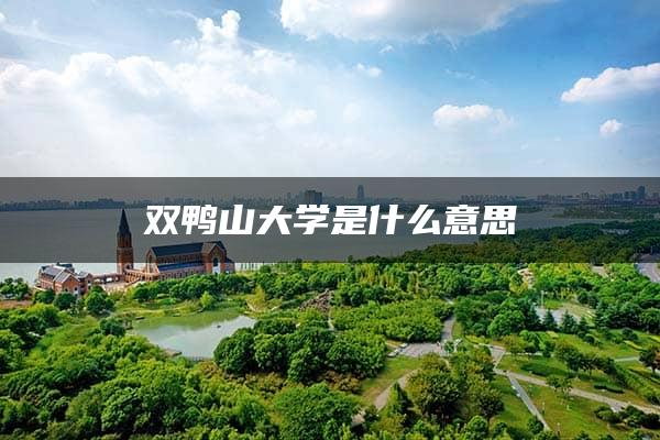 双鸭山大学是什么意思