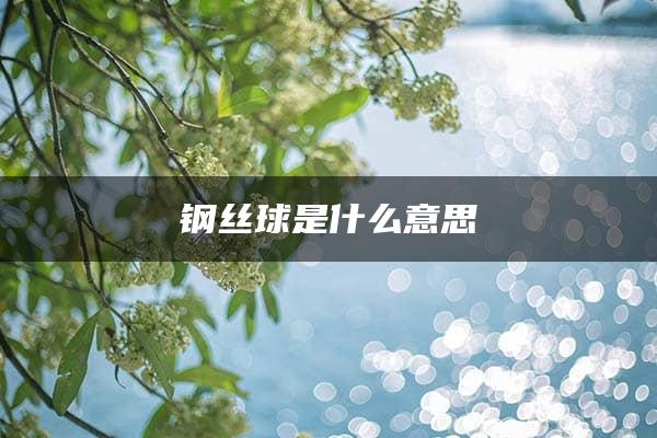 钢丝球是什么意思