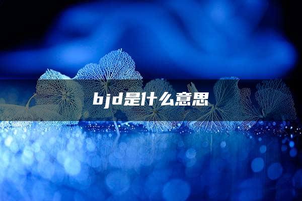 bjd是什么意思