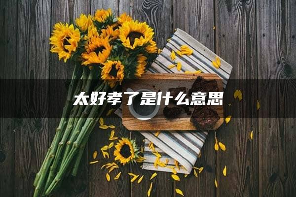 太好孝了是什么意思