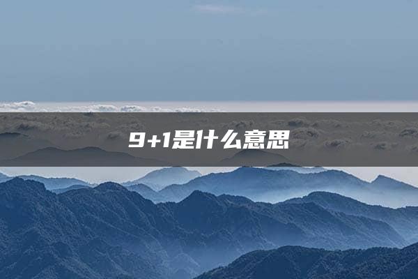 9+1是什么意思