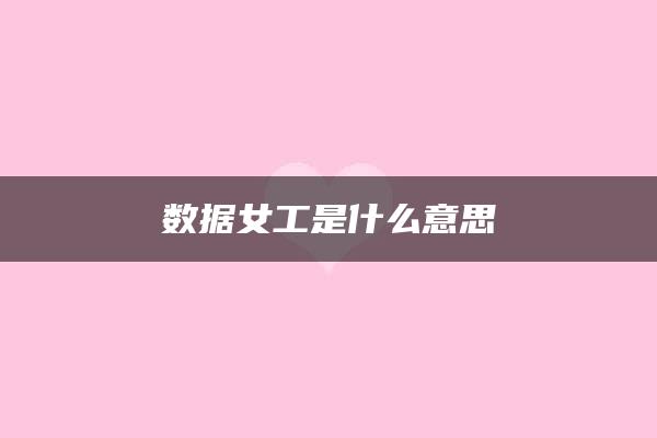 数据女工是什么意思