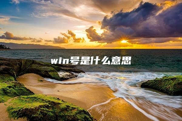 win号是什么意思