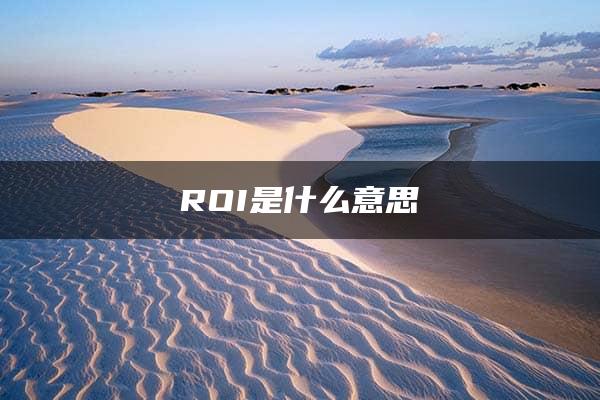 ROI是什么意思