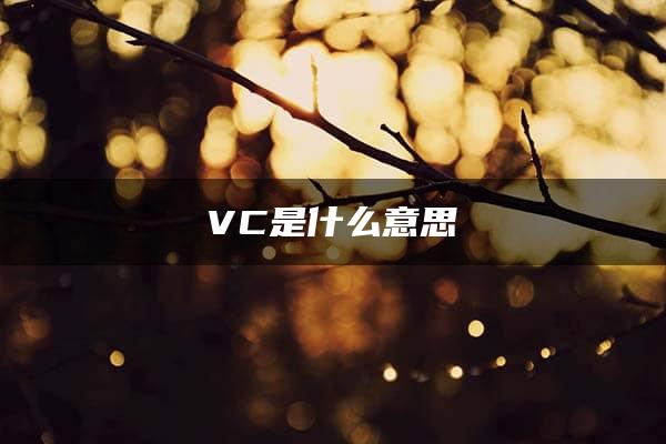 VC是什么意思