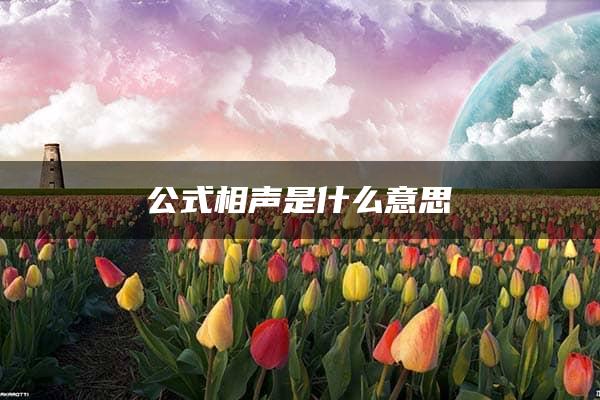 公式相声是什么意思