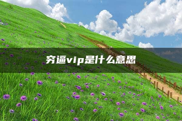 穷逼vip是什么意思