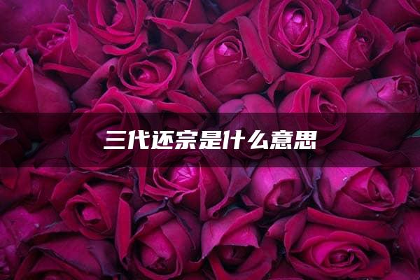 三代还宗是什么意思