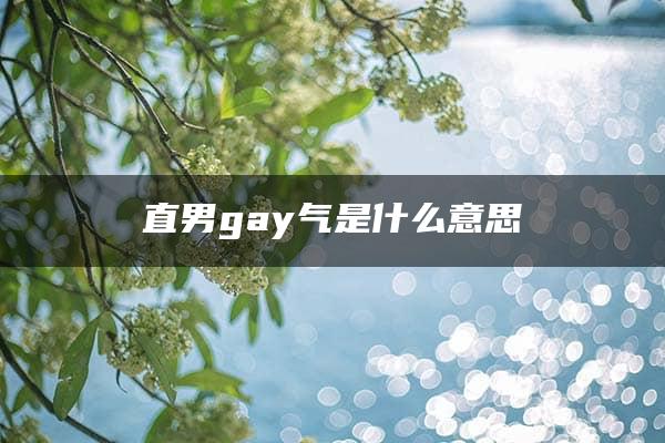 直男gay气是什么意思