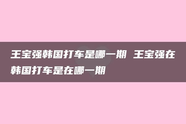 王宝强韩国打车是哪一期 王宝强在韩国打车是在哪一期