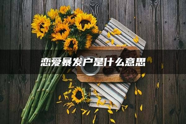 恋爱暴发户是什么意思