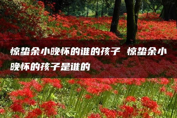 惊蛰余小晚怀的谁的孩子 惊蛰余小晚怀的孩子是谁的