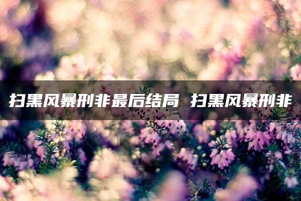 扫黑风暴刑非最后结局 扫黑风暴刑非