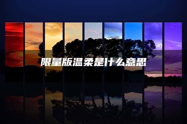 限量版温柔是什么意思