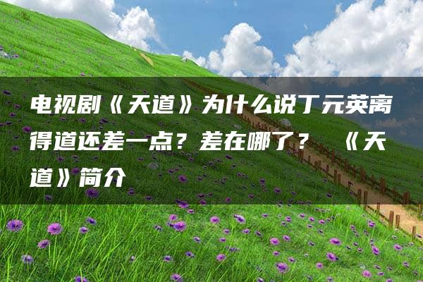 电视剧《天道》为什么说丁元英离得道还差一点？差在哪了？ 《天道》简介