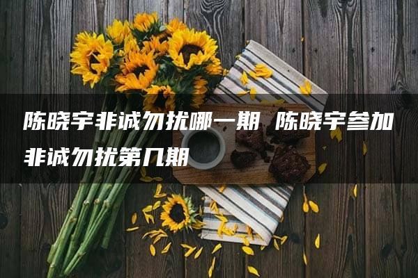 陈晓宇非诚勿扰哪一期 陈晓宇参加非诚勿扰第几期