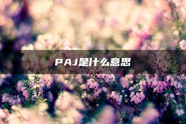 PAJ是什么意思