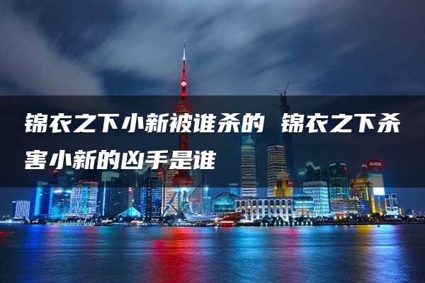 锦衣之下小新被谁杀的 锦衣之下杀害小新的凶手是谁