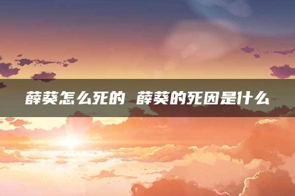 薛葵怎么死的 薛葵的死因是什么