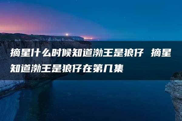 摘星什么时候知道渤王是狼仔 摘星知道渤王是狼仔在第几集