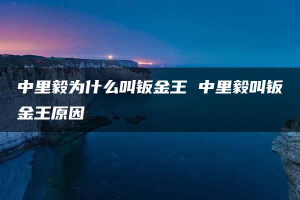 中里毅为什么叫钣金王 中里毅叫钣金王原因