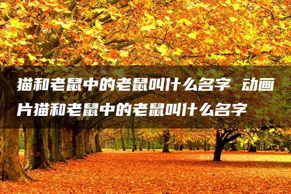 猫和老鼠中的老鼠叫什么名字 动画片猫和老鼠中的老鼠叫什么名字