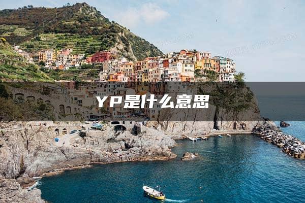 YP是什么意思