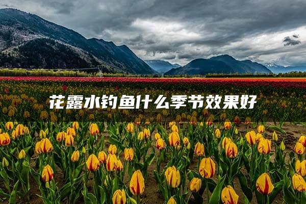 花露水钓鱼什么季节效果好