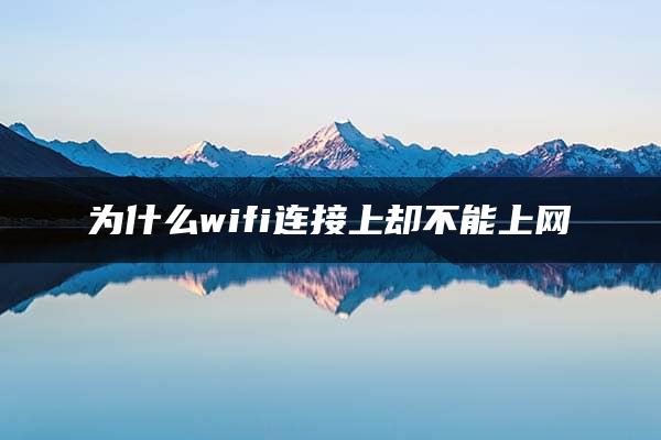 为什么wifi连接上却不能上网