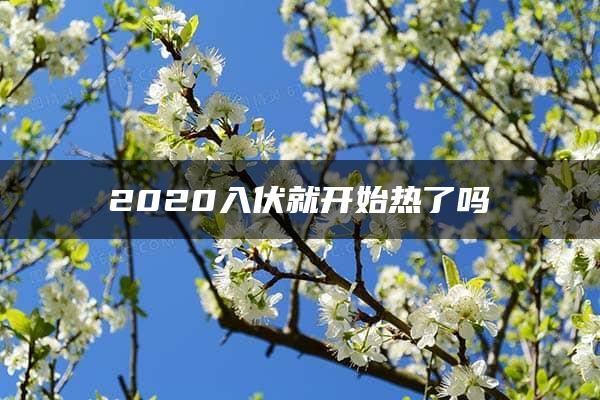 2020入伏就开始热了吗