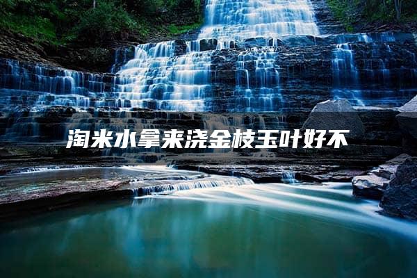 淘米水拿来浇金枝玉叶好不